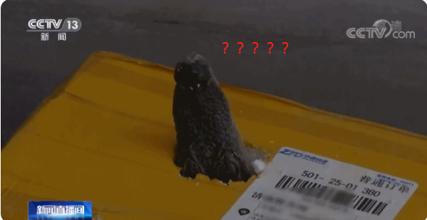 偷寄危险化学品害快递员住进ICU 这些东西都不能邮寄！