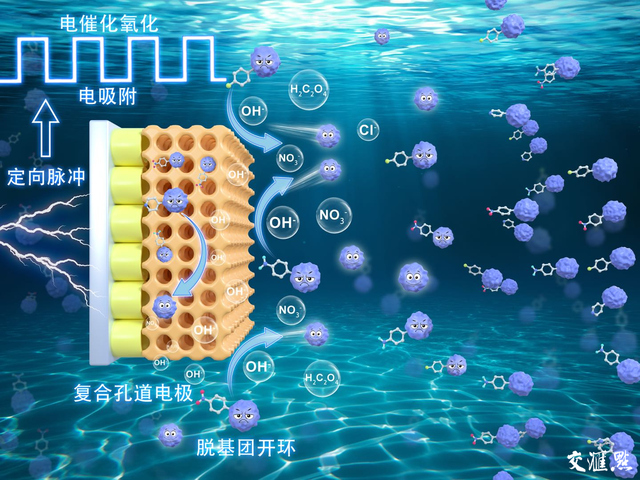 十年科研攻关 他们为化工园区污染物高效降解“开药方”